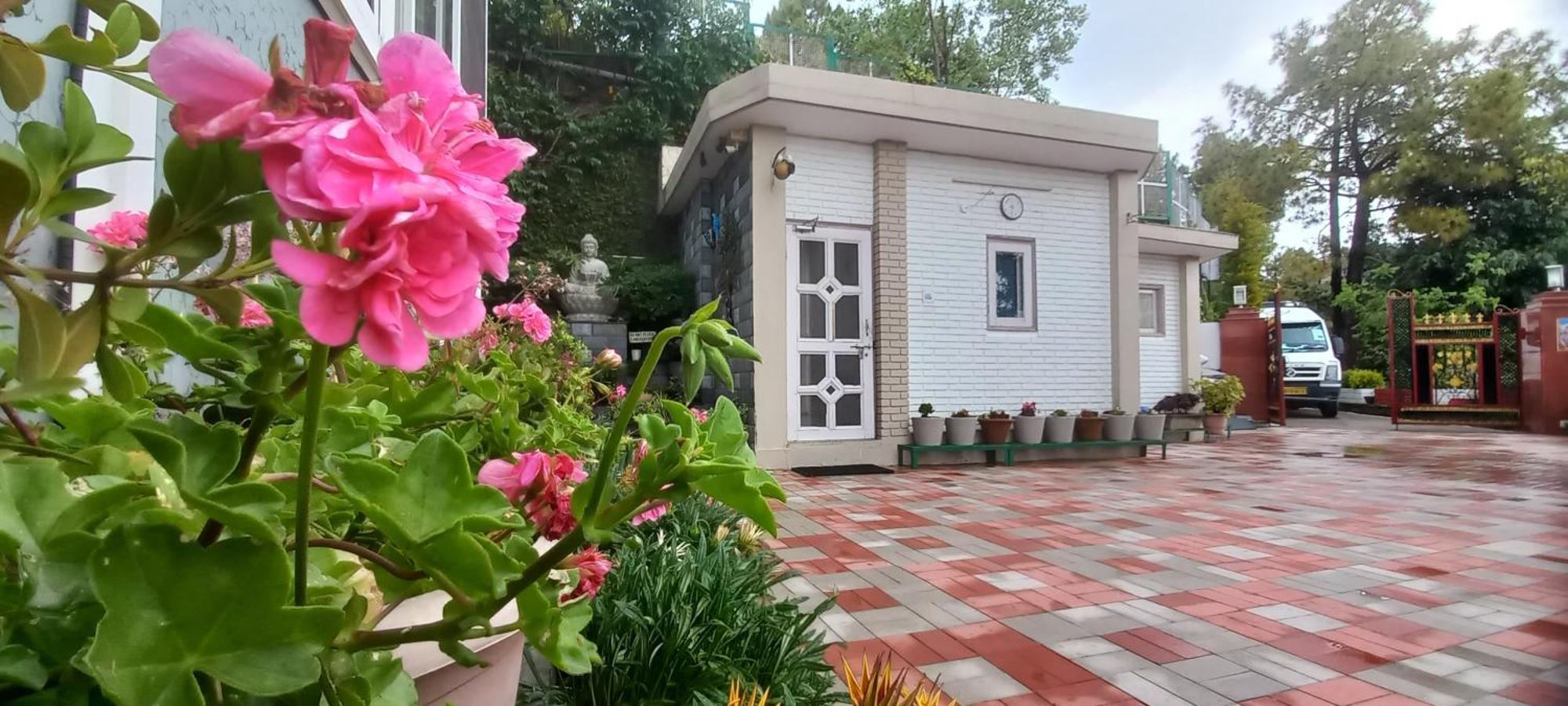 Sunrise Villa شيملا المظهر الخارجي الصورة